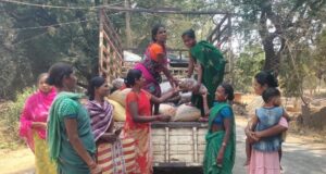 वनांचल की किस्मत बदलने वाली फसल साबित हुई इमली