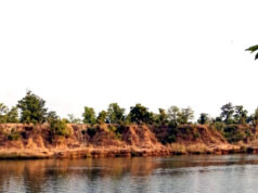 शिवनाथ नदी में मगरमच्छ दिखने से दहशत, नगर पंचायत ने जारी की अलर्ट-चेतावनी