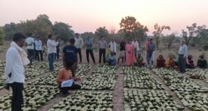 साय सरकार के सुशासन में तेन्दूपत्ता संग्राहकों को मिली आर्थिक मजबूती, 10,160 हितग्राहियों के खातों में पहुँची 1.39 करोड़ रुपये से अधिक की बोनस राशि