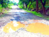 भोलापुर-पाण्डेटोला मार्ग की बदहाली से बढ़ा जनआक्रोश, बरसात में स्कूली बच्चों और ग्रामीणों की बढ़ीं मुश्किलें…