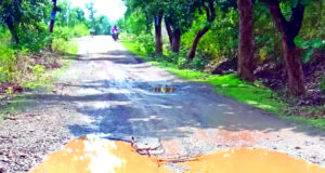 भोलापुर-पाण्डेटोला मार्ग की बदहाली से बढ़ा जनआक्रोश, बरसात में स्कूली बच्चों और ग्रामीणों की बढ़ीं मुश्किलें…