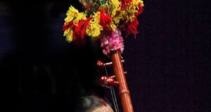 पंडवानी गायिका और पद्म विभूषण तीजन बाई का निधन, कला जगत में शोक की लहर…