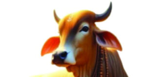 श्री गौशाला पिंजरापोल में 30 जुलाई को होगा नवीन गौछाया एवं गौ-चिकित्सा परिसर का लोकार्पण व भूमिपूजन..