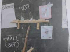 छत्तीसगढ़ का पहला लोक पर्व हरेली प्रकृति, संस्कृति और कृषि समृद्धि का अनूठा उत्सव…