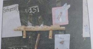 छत्तीसगढ़ का पहला लोक पर्व हरेली प्रकृति, संस्कृति और कृषि समृद्धि का अनूठा उत्सव…