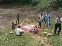 कोंडागांव के जंगल में गौ हत्या का मामला, 6 आरोपी गिरफ्तार…