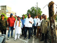 पेड़ काटकर सेवा का दिखावा, भाजपा और निगम प्रशासन पर बरसे मुदलियार…