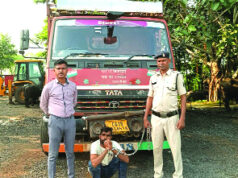 महाराष्ट्र ले जाई जा रही 18 भैंसें सोमनी पुलिस ने की बरामद, 8.80 लाख का मशरूका जब्त, एक गिरफ्तार…