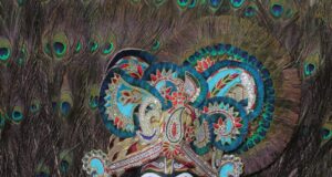 श्रीमद् भागवत भक्ति, ज्ञान एवं वैराग्य की त्रिवेणी है : बांके बिहारी गोस्वामी…