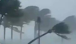 अगले 7 दिनों तक बारिश, पश्चिमी विक्षोभ दिखाएगा असर, 50 KMPH की रफ्तार से चलेगी हवा, IMD का अलर्ट