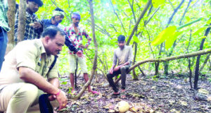 नगर के गणेश टेकरी पहाड़ी में मिला नरकंकाल …