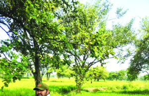 प्रशासनिक लाचारी-अपनी ही जमीन से कब्जा हटाने में नाकाम शासन, खेतों का रास्ता बंद होने से परेशान किसान..