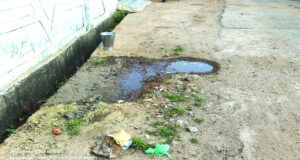 नगर के अनेक वार्डों में आ रहा नाली का गंदा पानी…