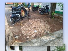 एफसीआई राजनांदगांव में ‘विशेष अभियान 6.0’ के तहत चला स्वच्छता अभियान, लंबित मामलों के त्वरित निस्तारण पर जोर…