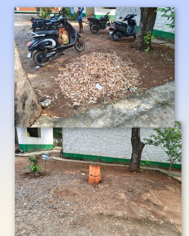 WhatsApp Image 2026-10-25 at 2.37.47 PM