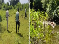 महिला की नजर पड़ते ही हुआ सनसनीखेज खुलासा, बाउंड्री के अंदर मिली सड़ी-गली लाश…
